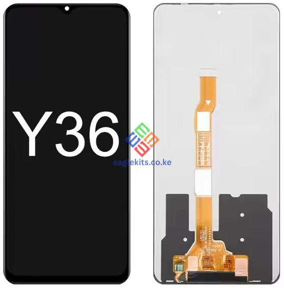 Y36